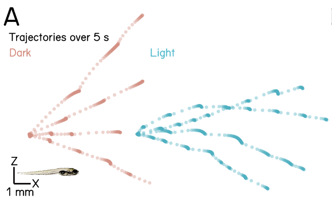 lighting-circadian-navigation.png